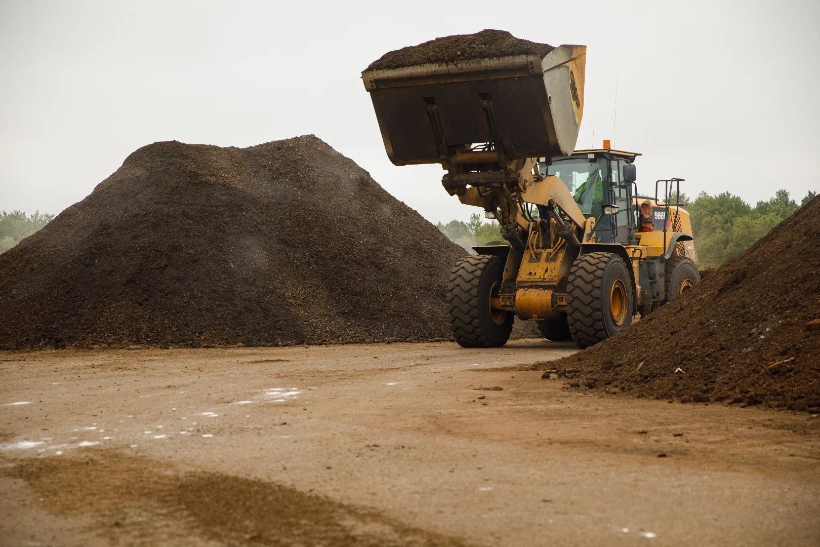 Yellow CAT front loader lifts a large bucket filled with dark compost material at an outdoor organics processing site. Two large piles of compost are visible on the ground, and green trees form the background under an overcast sky.