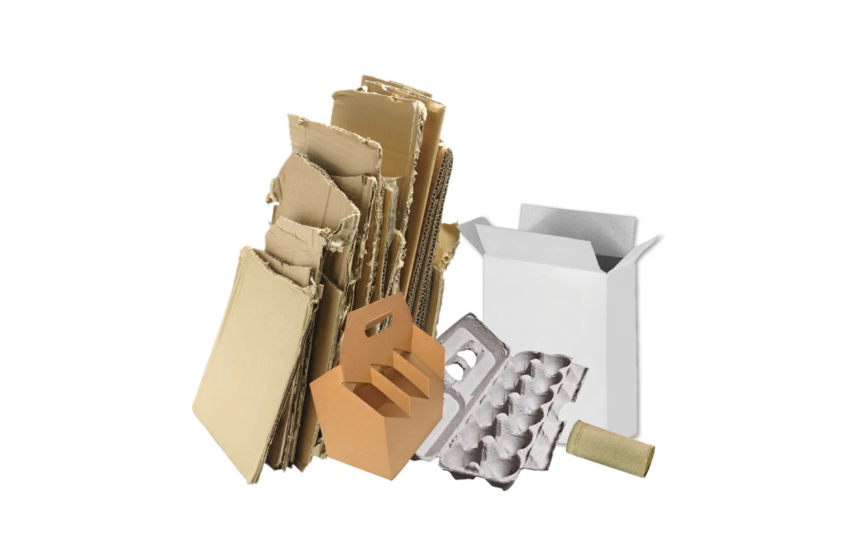Collection of recyclable paper and cardboard items including flattened corrugated boxes, a white paperboard box, a brown takeout carrier, a gray molded pulp egg carton, and a cardboard tube arranged on a white background. 