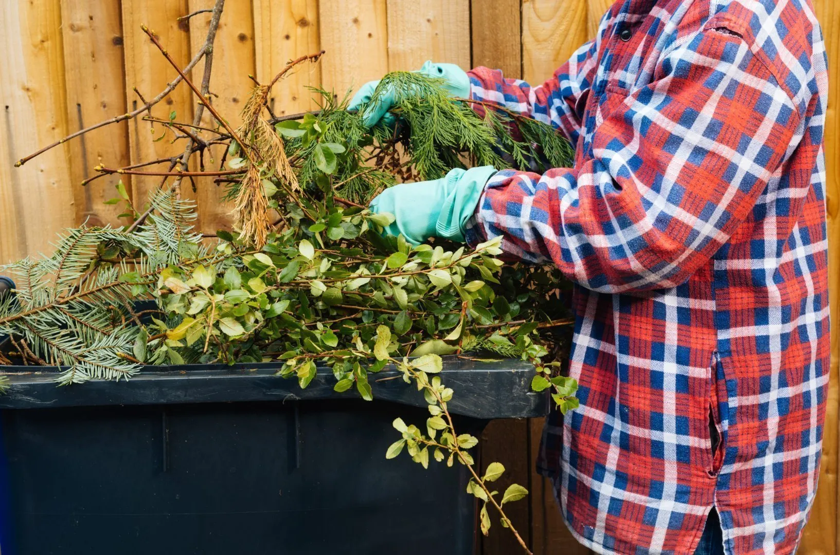 Person wearing a red and blue plaid shirt and green rubber gloves places tree branches and green yard waste into a large outdoor bin against a wooden fence.