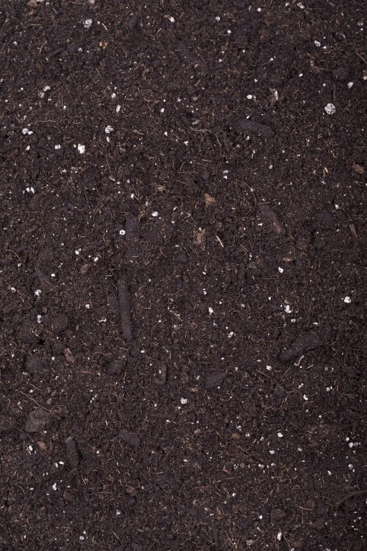 Close-up view of dark, nutrient-rich compost or soil blend with small organic pieces and visible white perlite particles mixed throughout.